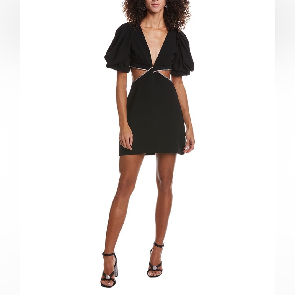 NWT - ALC Hazel dress